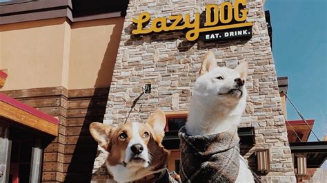 The property does not have a yard. . Lazy dog broomfield